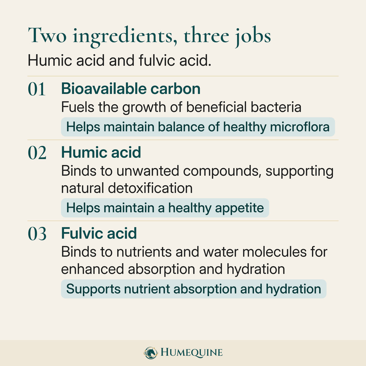 Two ingredients, three jobs: bioavailable carbon, humic acid and fulvic acid, each with what it supports.
