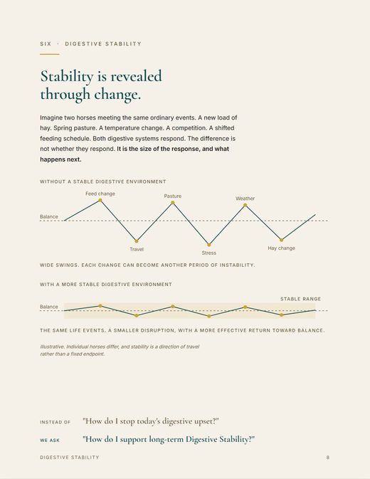 Guide page: Stability is revealed through change.
